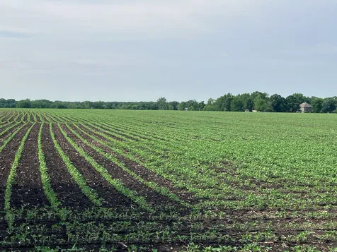 00 Kyte Road Rochelle IL 61068