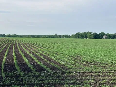 00 Kyte Road Rochelle IL 61068