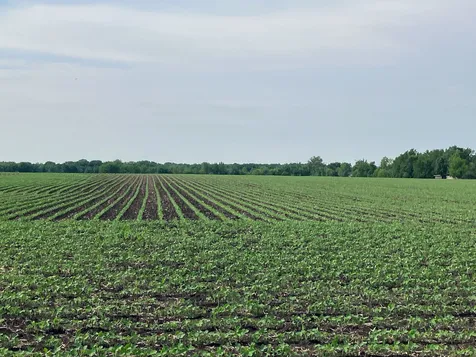 00 Kyte Road Rochelle IL 61068