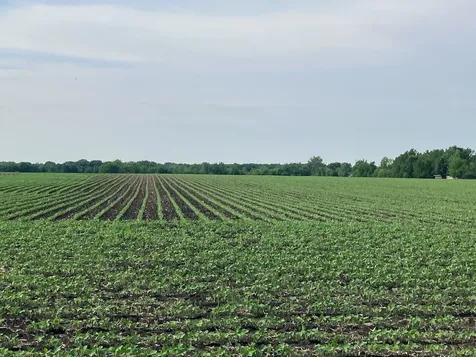 00 Kyte Road Rochelle IL 61068