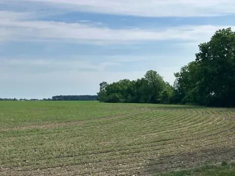 00 Kyte Road Rochelle IL 61068