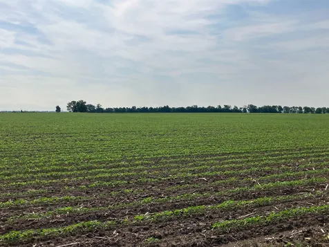 00 Kyte Road Rochelle IL 61068