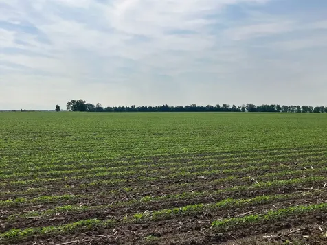 00 Kyte Road Rochelle IL 61068