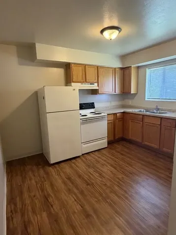 25709 West Bridge Street Channahon IL 60410