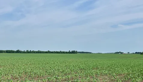 00 Center Road Rochelle IL 61068