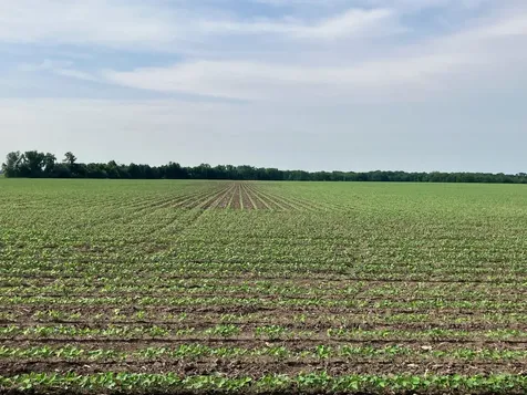 00 Center Road Rochelle IL 61068