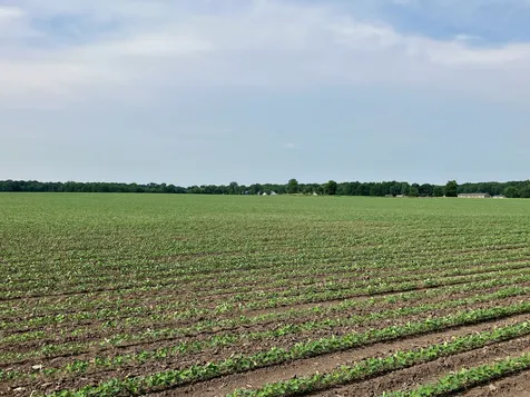 00 Center Road Rochelle IL 61068