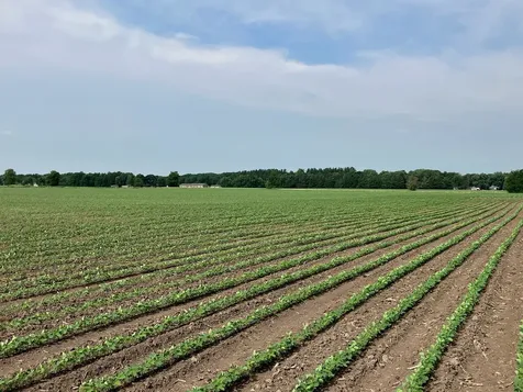 00 Center Road Rochelle IL 61068