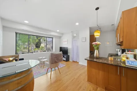 2245 West Barry Avenue Chicago IL 60618