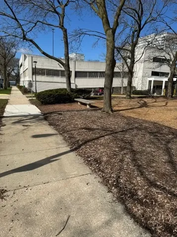 601 East 32nd Street Chicago IL 60616