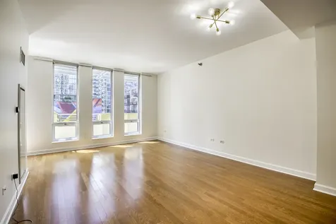 1250 South Michigan Avenue Chicago IL 60605