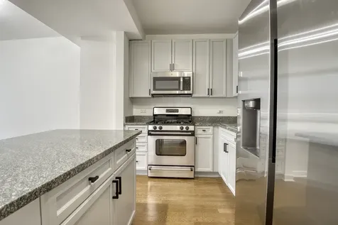 1250 South Michigan Avenue Chicago IL 60605
