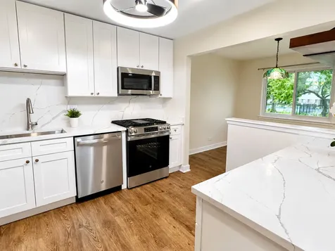 251 Appletree Court Buffalo Grove IL 60089