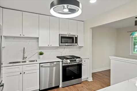 251 Appletree Court Buffalo Grove IL 60089