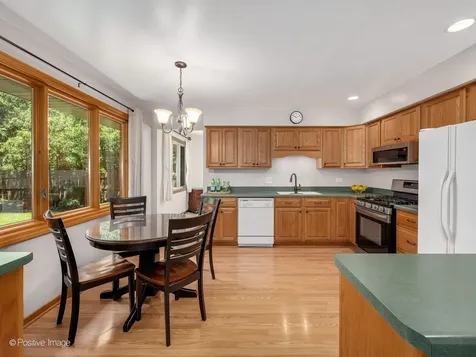 8201 Crestview Drive Willow Springs IL 60480