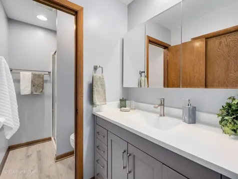 8201 Crestview Drive Willow Springs IL 60480