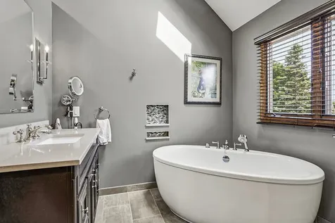 1259 Abbey Oaks Drive Lemont IL 60439