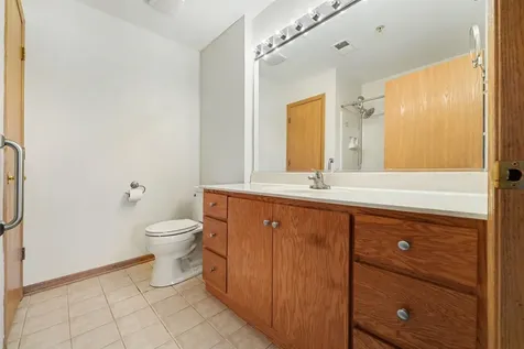 20345 South Rainford Drive Frankfort IL 60423