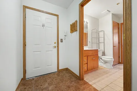 20345 South Rainford Drive Frankfort IL 60423