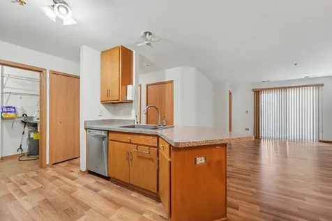 20345 South Rainford Drive Frankfort IL 60423