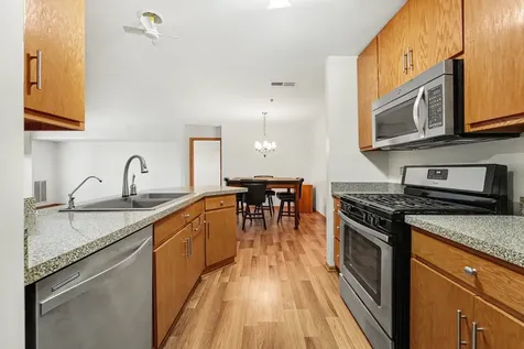 20345 South Rainford Drive Frankfort IL 60423