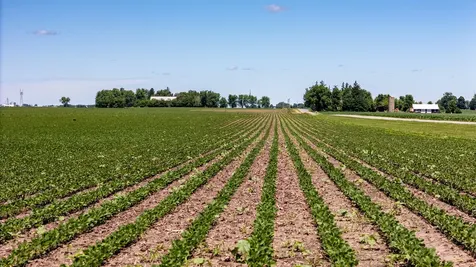 0000 North West Phillips Road And Pritchard Road Hinckley IL 60520