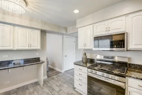 4491 Thornbark Drive Hoffman Estates IL 60192