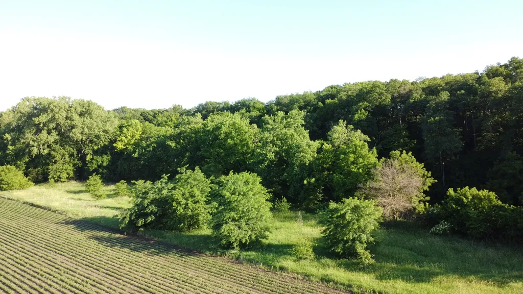 02 County Road 525n El Paso IL 61738