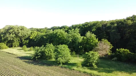 02 County Road 525n El Paso IL 61738