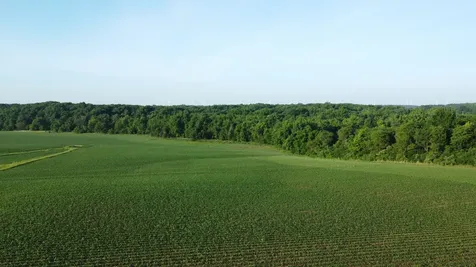 02 County Road 525n El Paso IL 61738