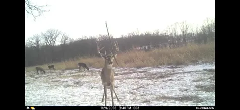02 County Road 525n El Paso IL 61738