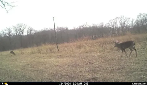 02 County Road 525n El Paso IL 61738