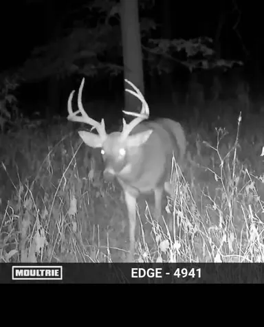 02 County Road 525n El Paso IL 61738
