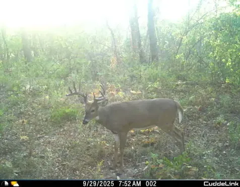 02 County Road 525n El Paso IL 61738