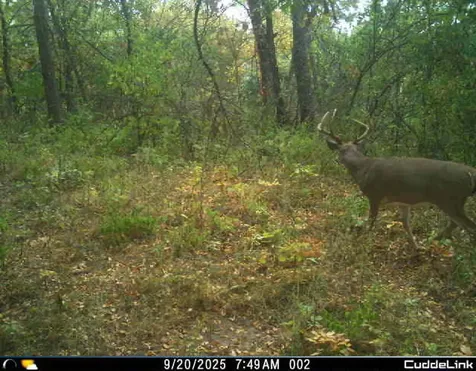 02 County Road 525n El Paso IL 61738