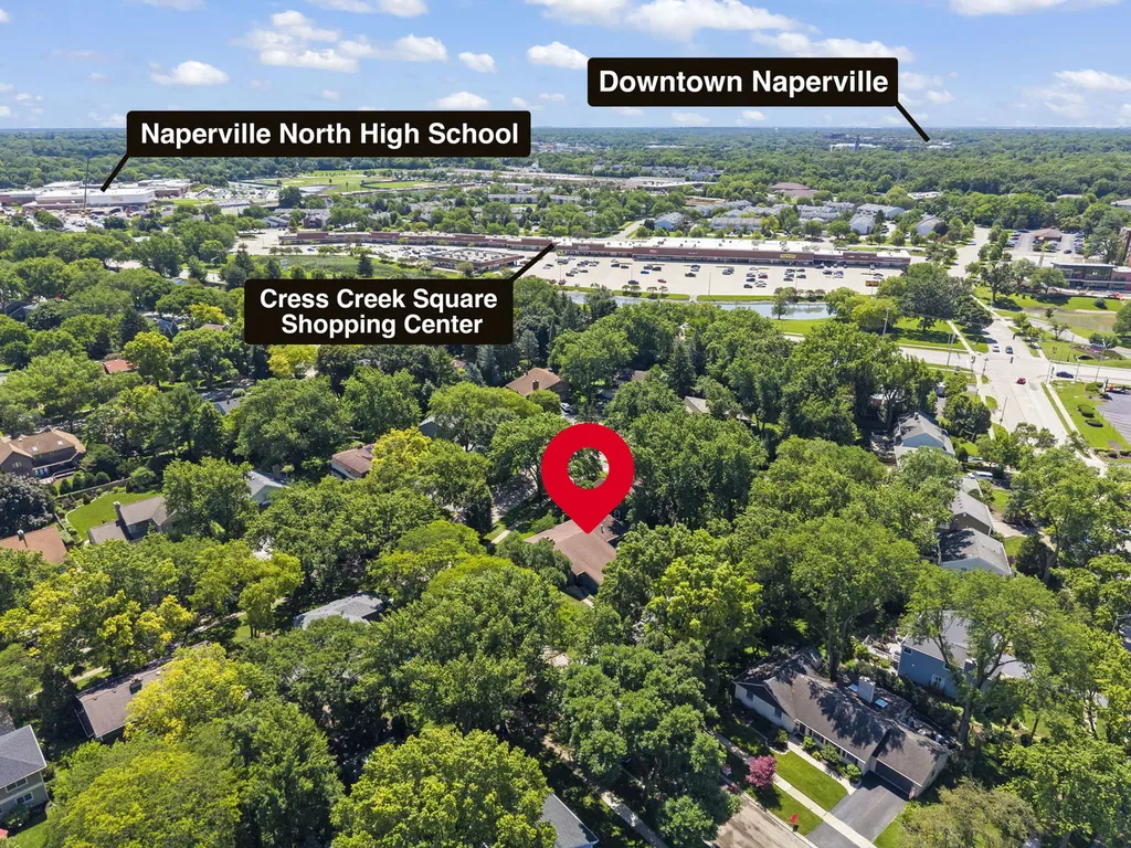 917 Royal Blackheath Court Naperville IL 60563