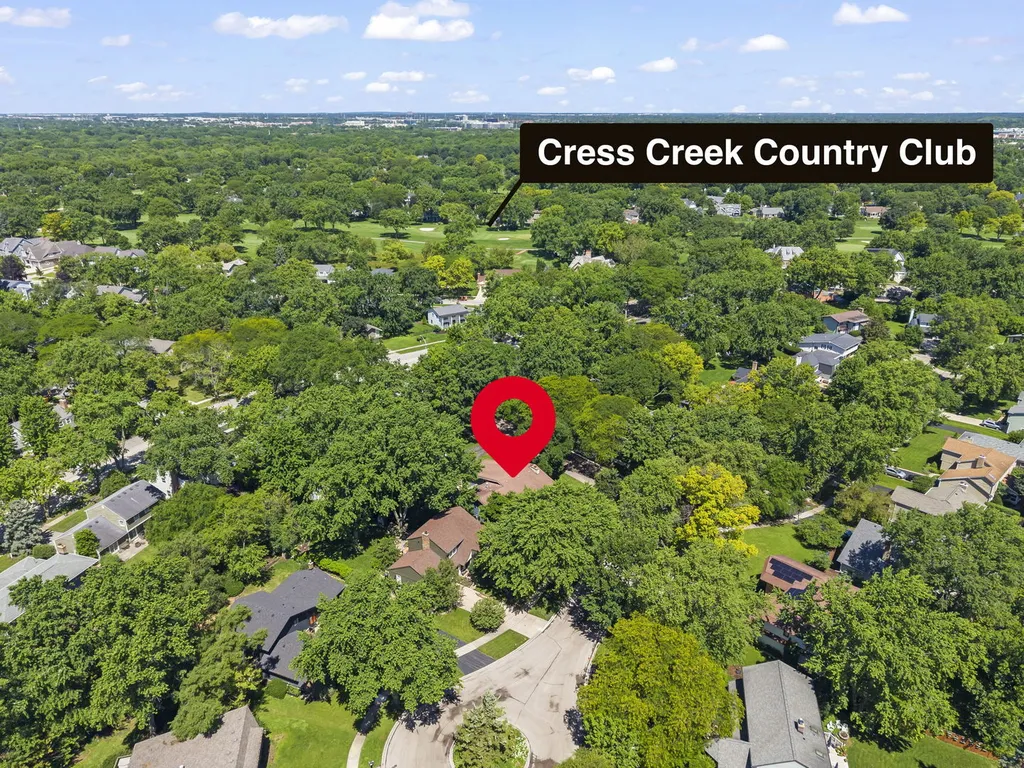 917 Royal Blackheath Court Naperville IL 60563