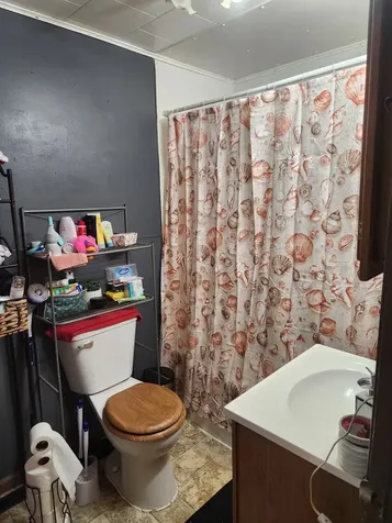 829 Oak Street Minonk IL 61760