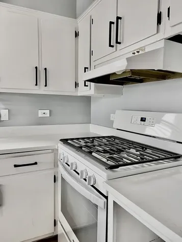 5217 West 87th Street Oak Lawn IL 60453