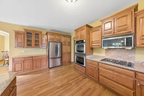 14141 Persimmon Drive Orland Park IL 60467