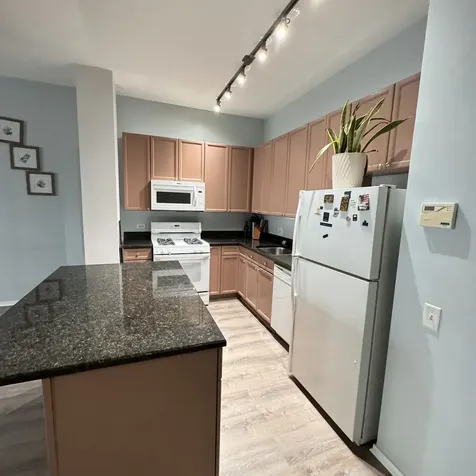 1631 South Michigan Avenue Chicago IL 60616