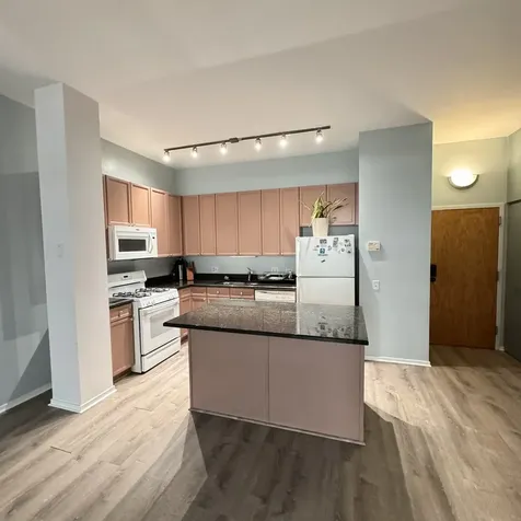 1631 South Michigan Avenue Chicago IL 60616