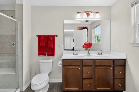 3352 Helene Reider Drive Montgomery IL 60538