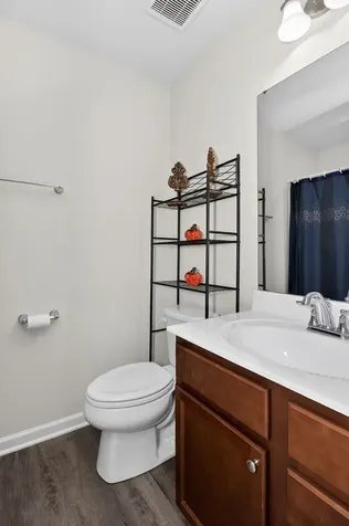 3352 Helene Reider Drive Montgomery IL 60538