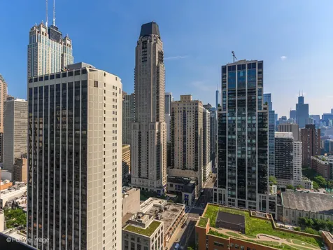 1030 North State Street Chicago IL 60610