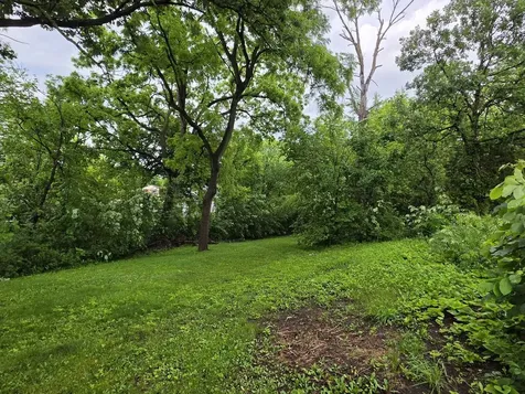 43 South Cedar Street Palatine IL 60067