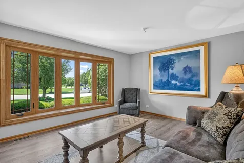 15301 Rosarie Drive Homer Glen IL 60491