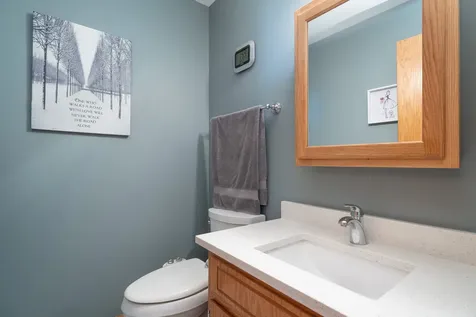 15301 Rosarie Drive Homer Glen IL 60491