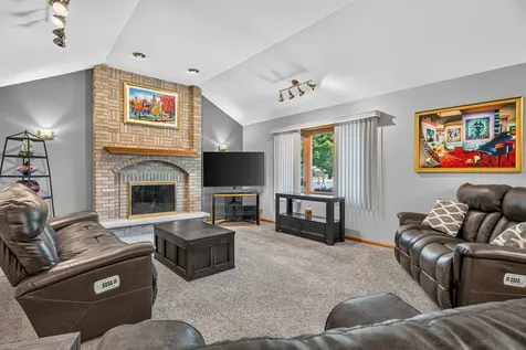 15301 Rosarie Drive Homer Glen IL 60491