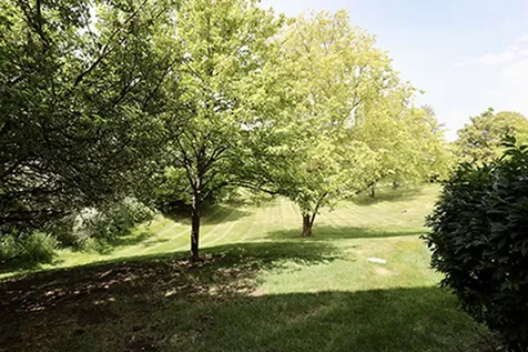 12936 West 159th Street Homer Glen IL 60491